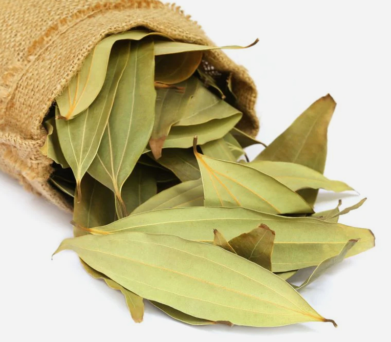 bay leaf