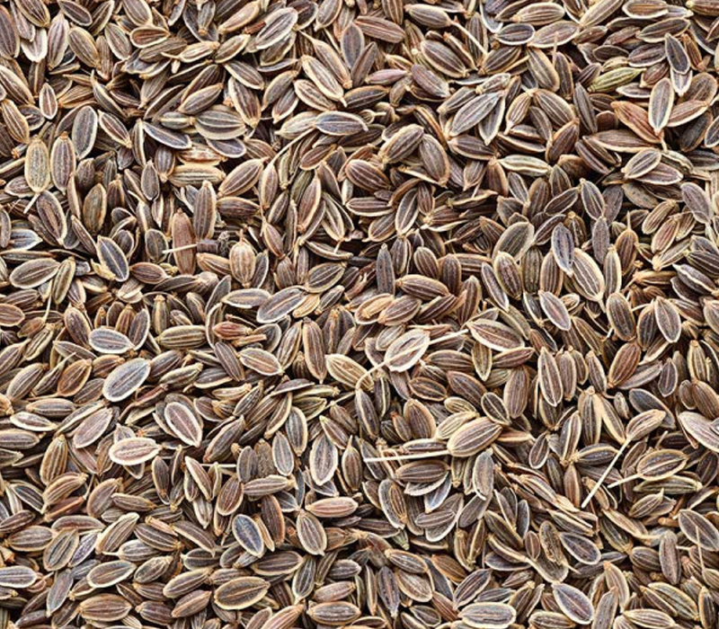 dill seeds