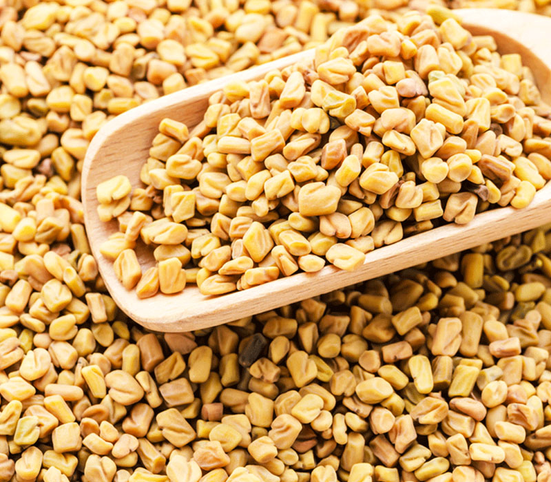 Vegetable Seeds Apna Fenugreek Seeds Methi Seed Fenugreek Powder