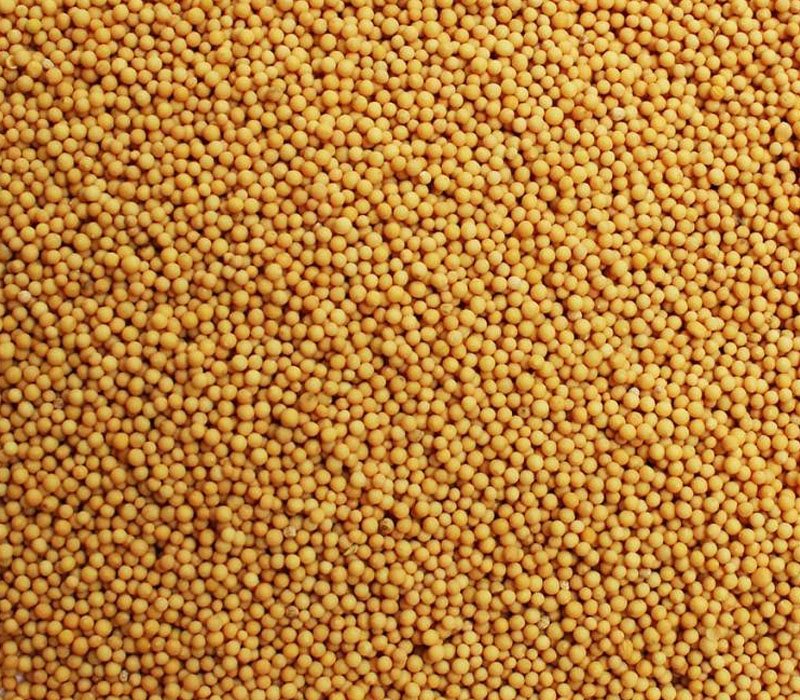 yellow mustard
